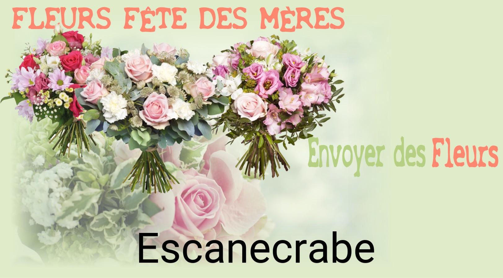 Bouquet de Fête des Mères livré à Escanecrabe