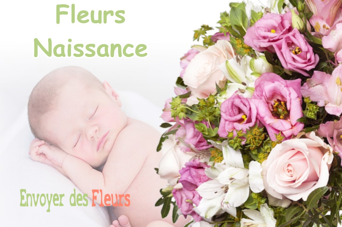 lIVRAISON FLEURS NAISSANCE à ESCANECRABE